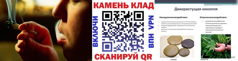Купить где  Узловая  ГАШИШ хэш 
